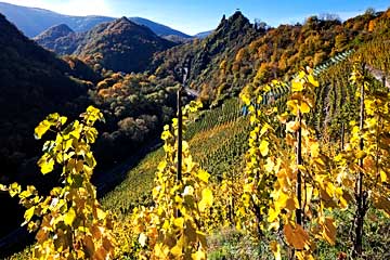 Weinlage Altenahrer Eck