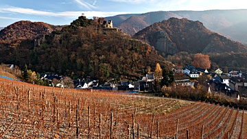 Weinlage Altenahrer Eck 