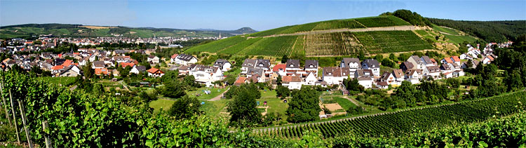 Panorama von Bachem