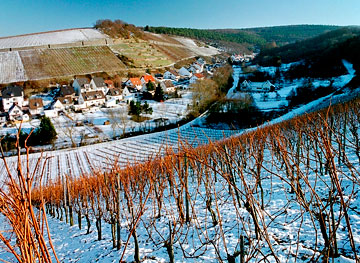 Bachemer Sonnenschein