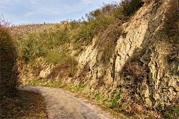 Hohlweg im Neuenahrer Schieferley