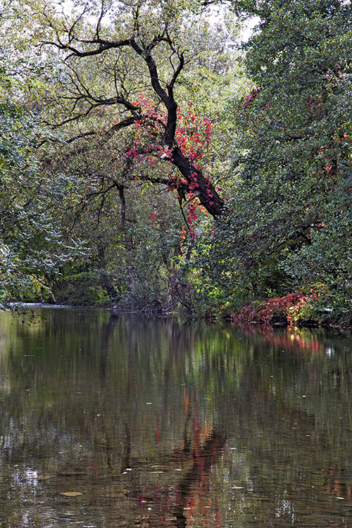 20111005_50D_0005