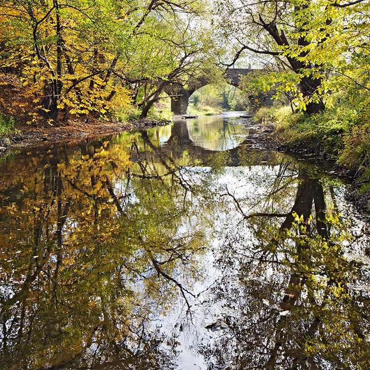 20111029_5DII_0010