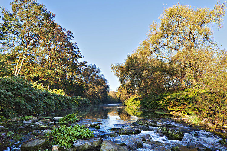 20111015_5DII_0023