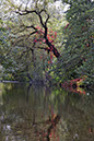 20111005_50D_0005