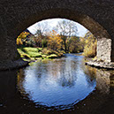 20111104_50D_0022