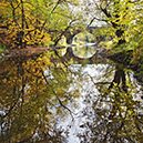 20111029_5DII_0010