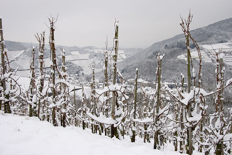 20051227_20D_035