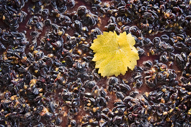 20081019_20D_0070