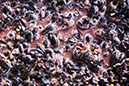 20081019_20D_0064