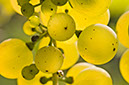 20070923_0036