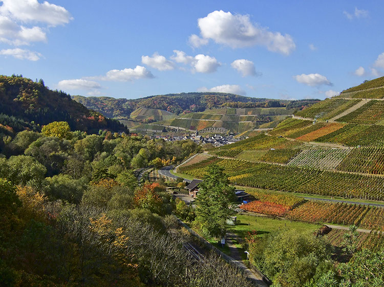 20071020_F20_0021