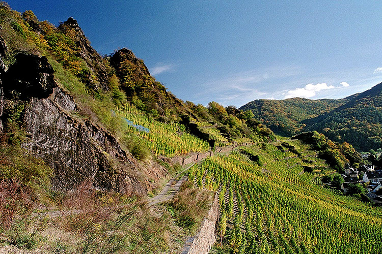 Laacher Berg