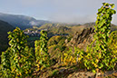 20071014_20D_0024