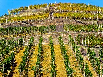 Ahrweiler Silberberg