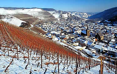 Weinlage Dernauer Schieferlay