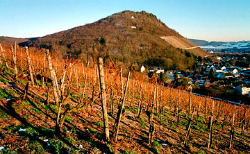 Heppinger Berg