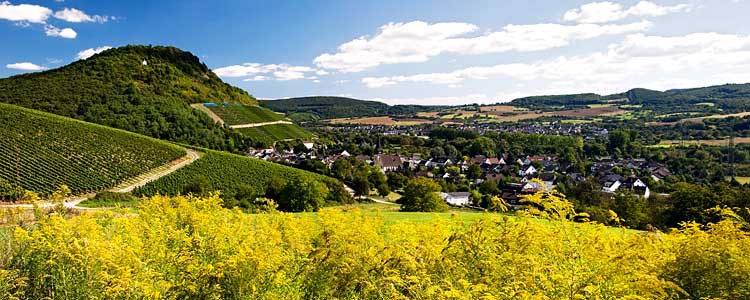 Heppingen und Heimersheim