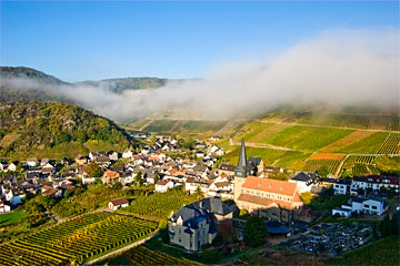 Weinlage Dernauer Burggarten