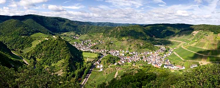 Panorama von Mayschoß